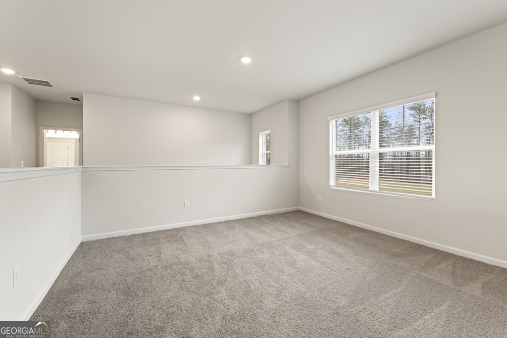 731 Hedwig Drive Mcdonough - 14