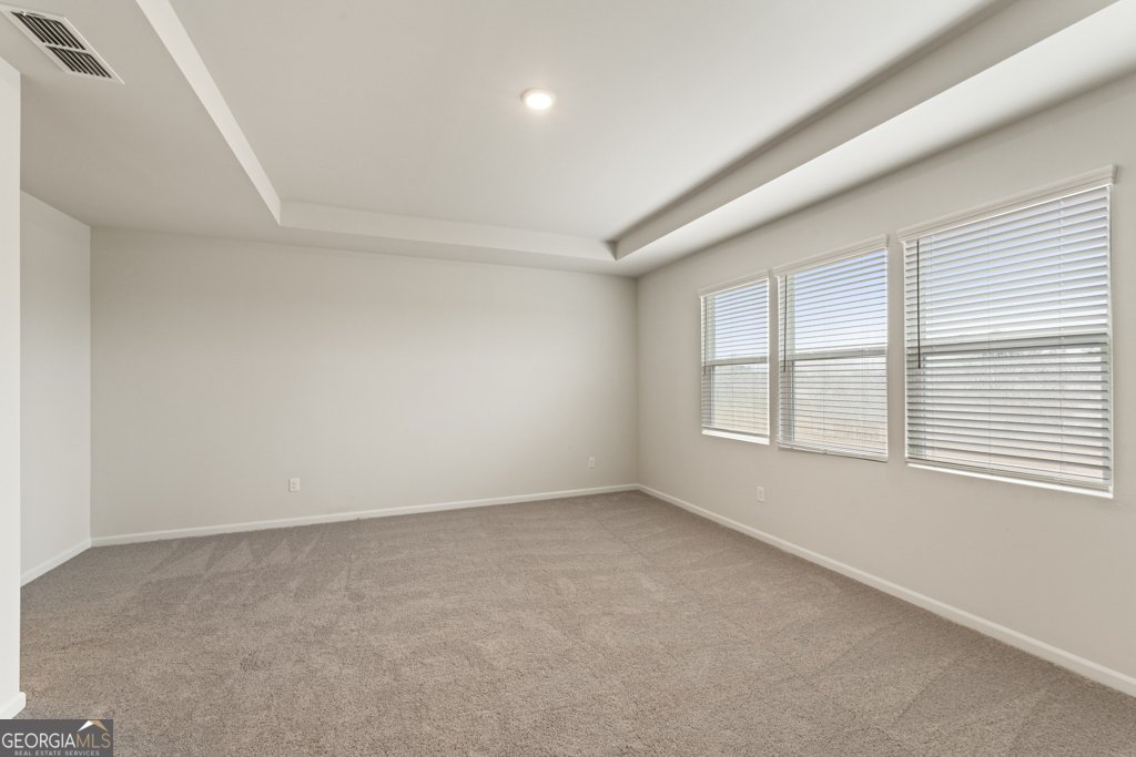 731 Hedwig Drive Mcdonough - 20