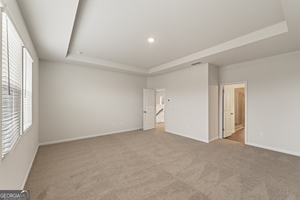 731 Hedwig Drive Mcdonough - 21