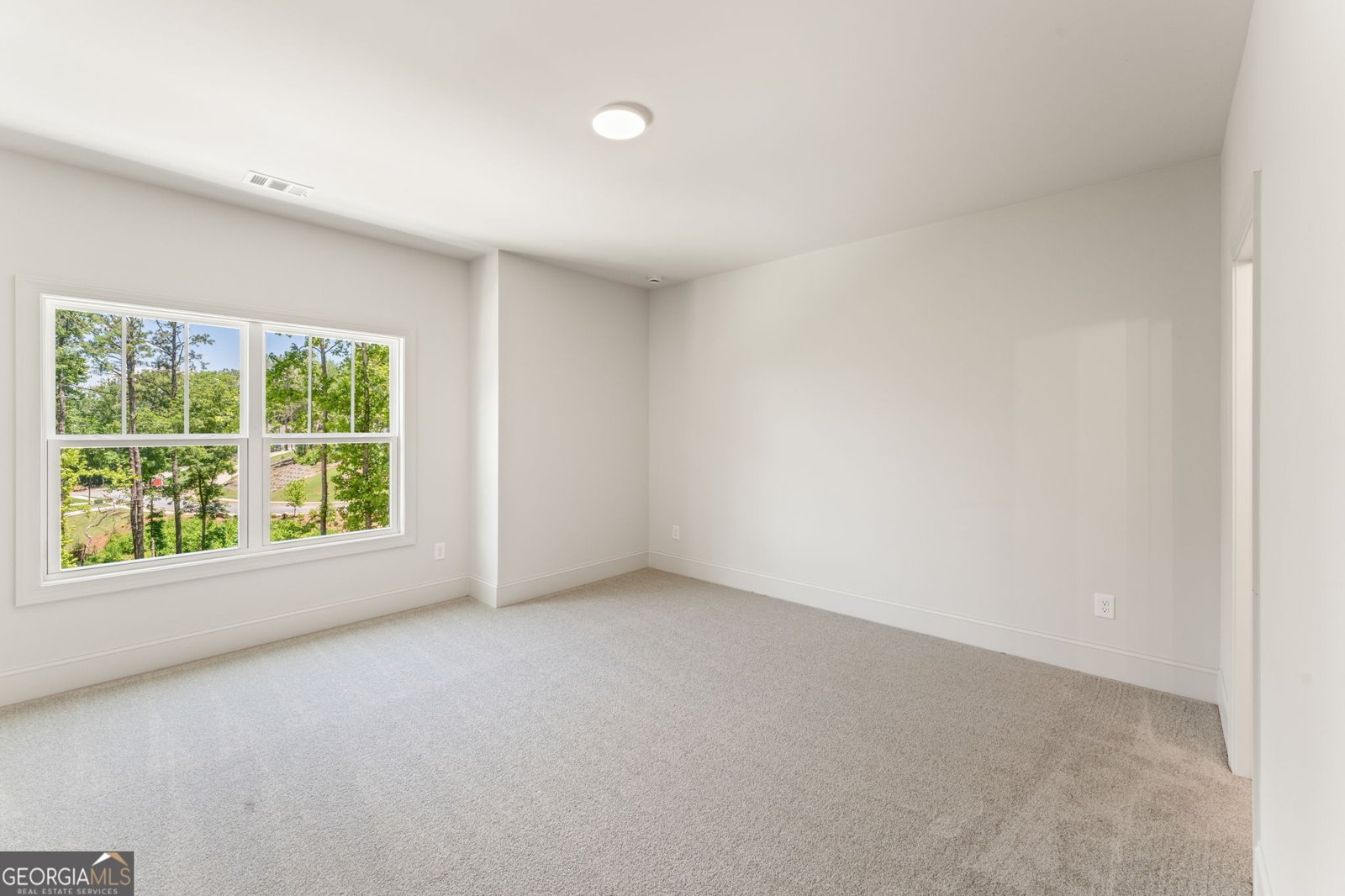 1005 Liberty Springs Drive Woodstock - 72