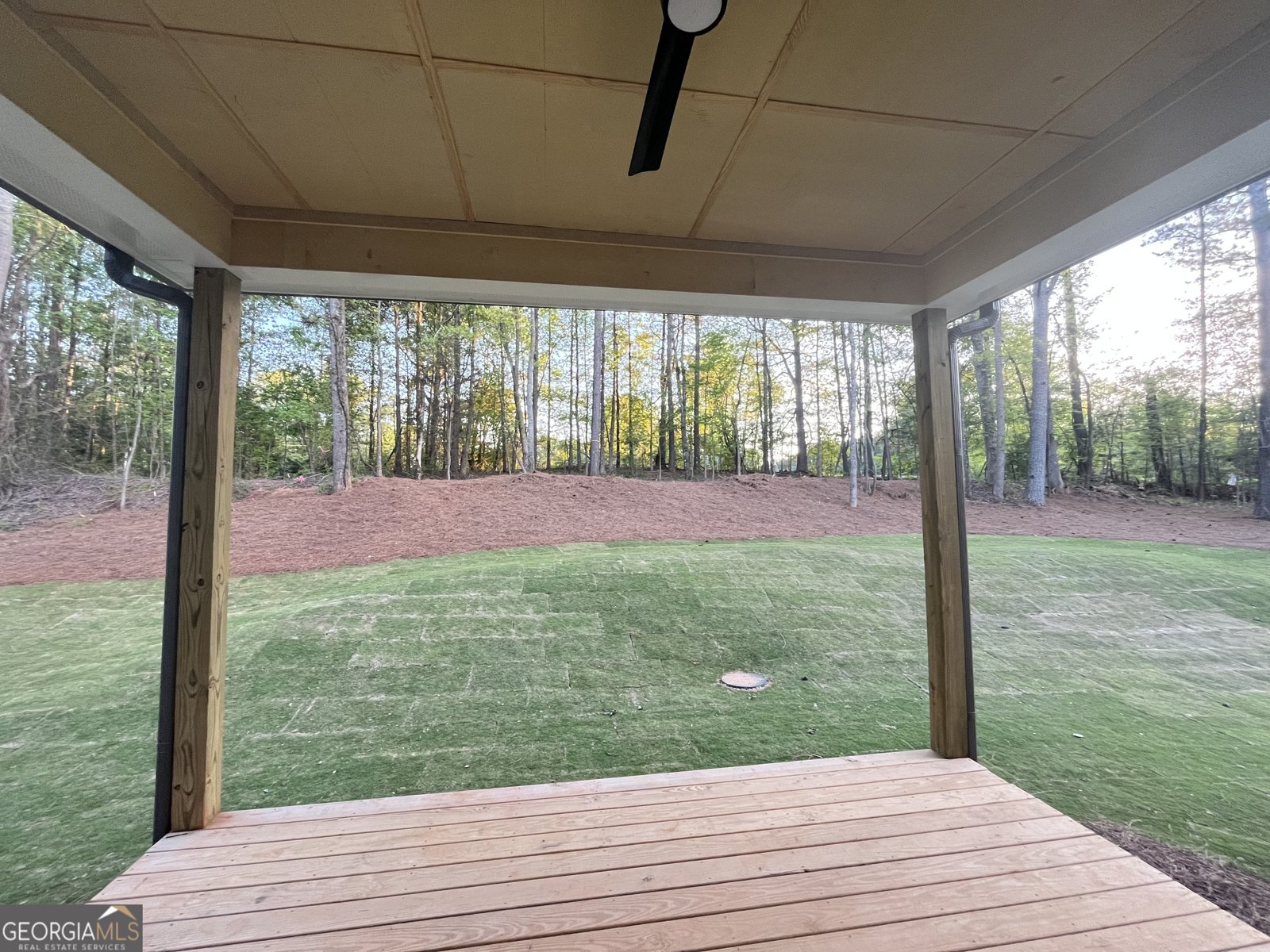 1005 Liberty Springs Drive Woodstock - 8