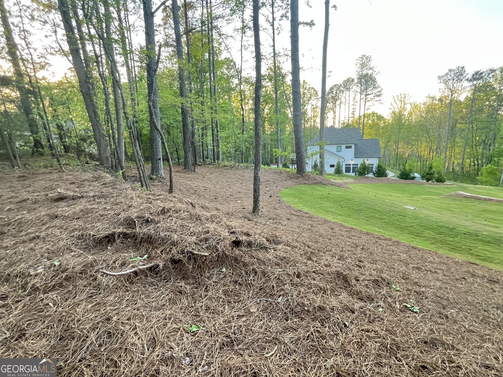 1005 Liberty Springs Drive Woodstock - 9