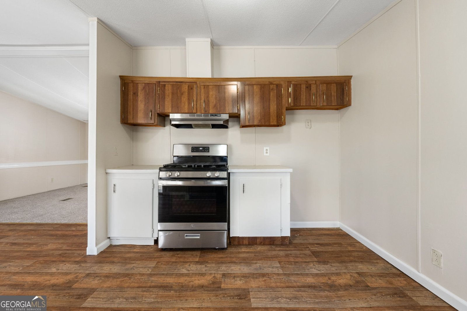 261 Lakeview Drive Locust Grove - 9