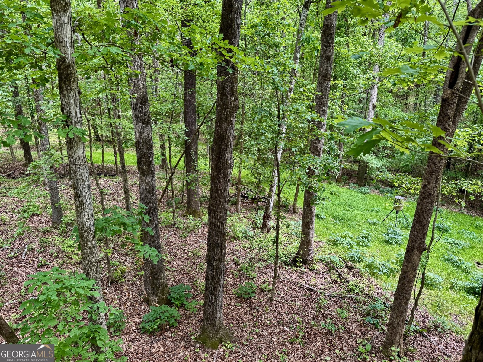 108 Indian Bluff Drive Lagrange - 58