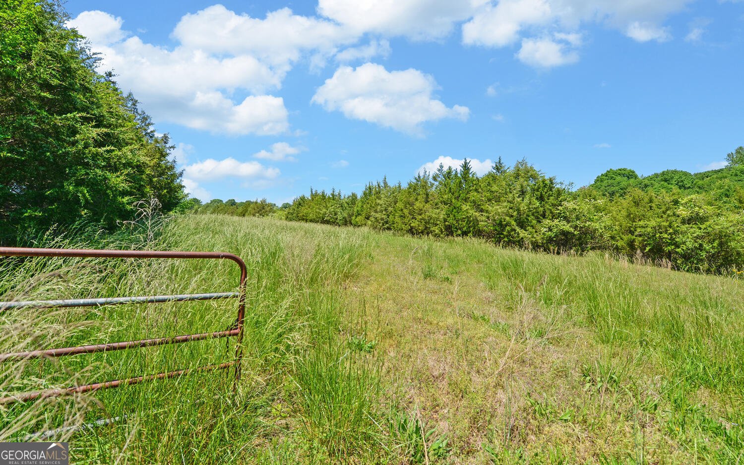 2777 Whippoorwill Trail Hartwell - 50