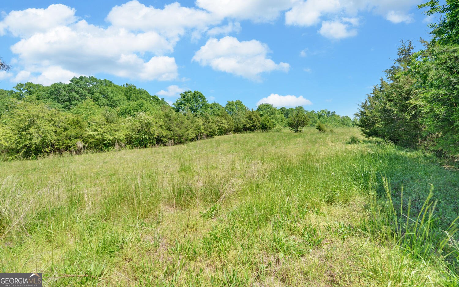 2777 Whippoorwill Trail Hartwell - 51