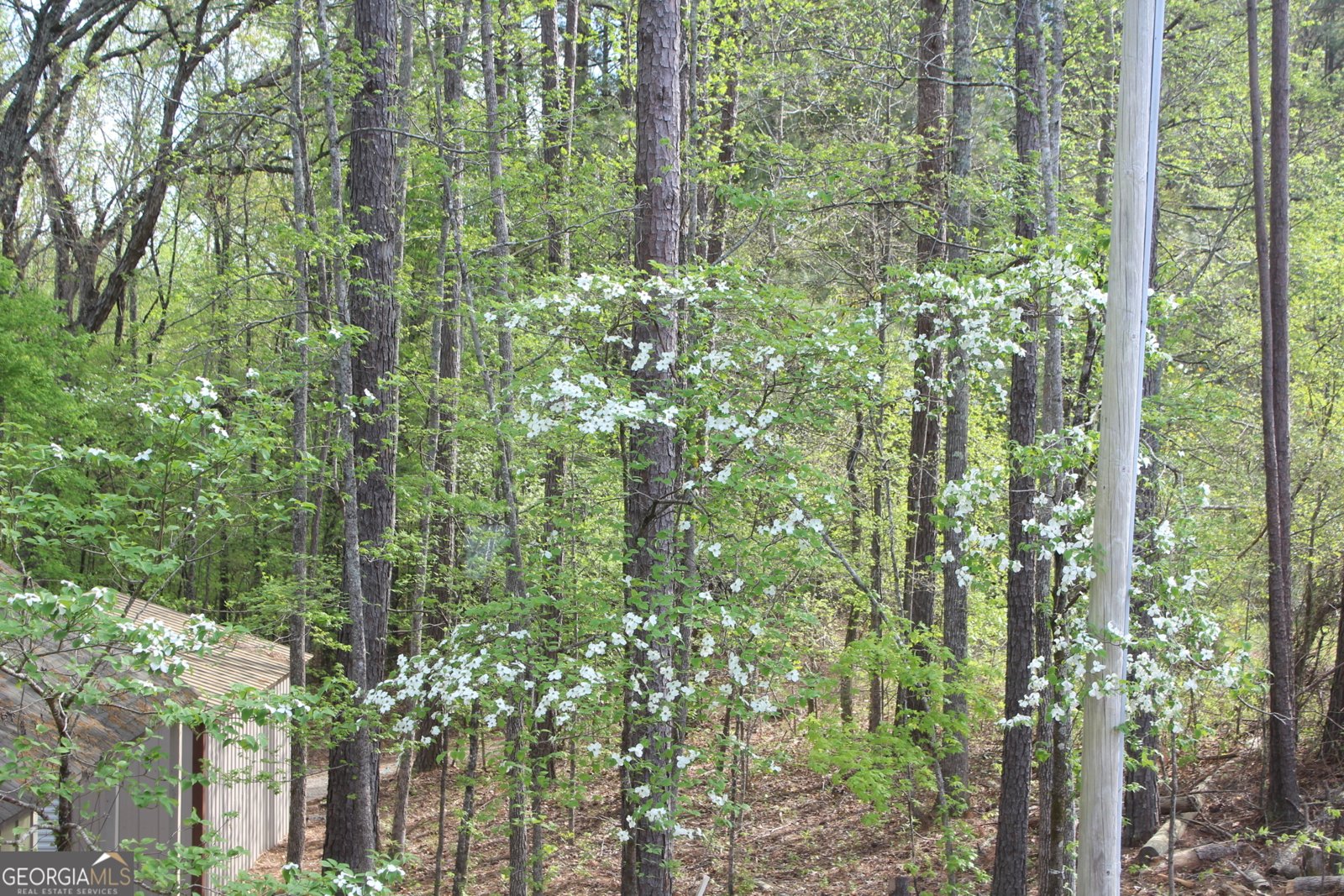 460 Morgan Mill Road Brooks - 15