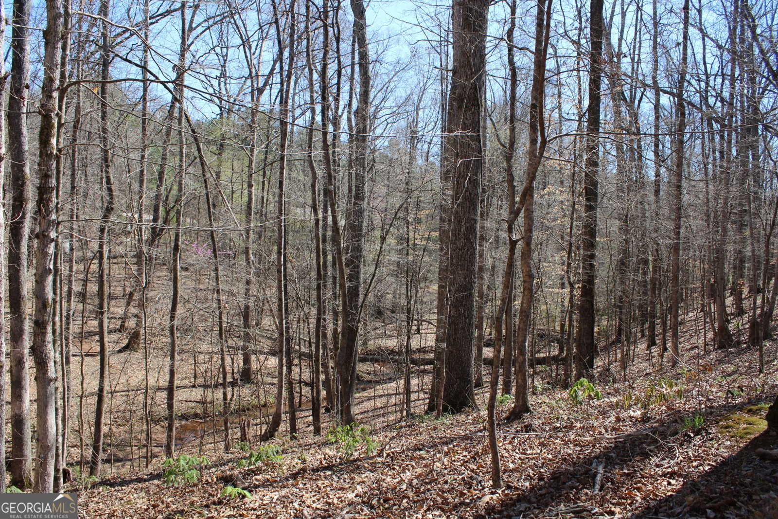 460 Morgan Mill Road Brooks - 20