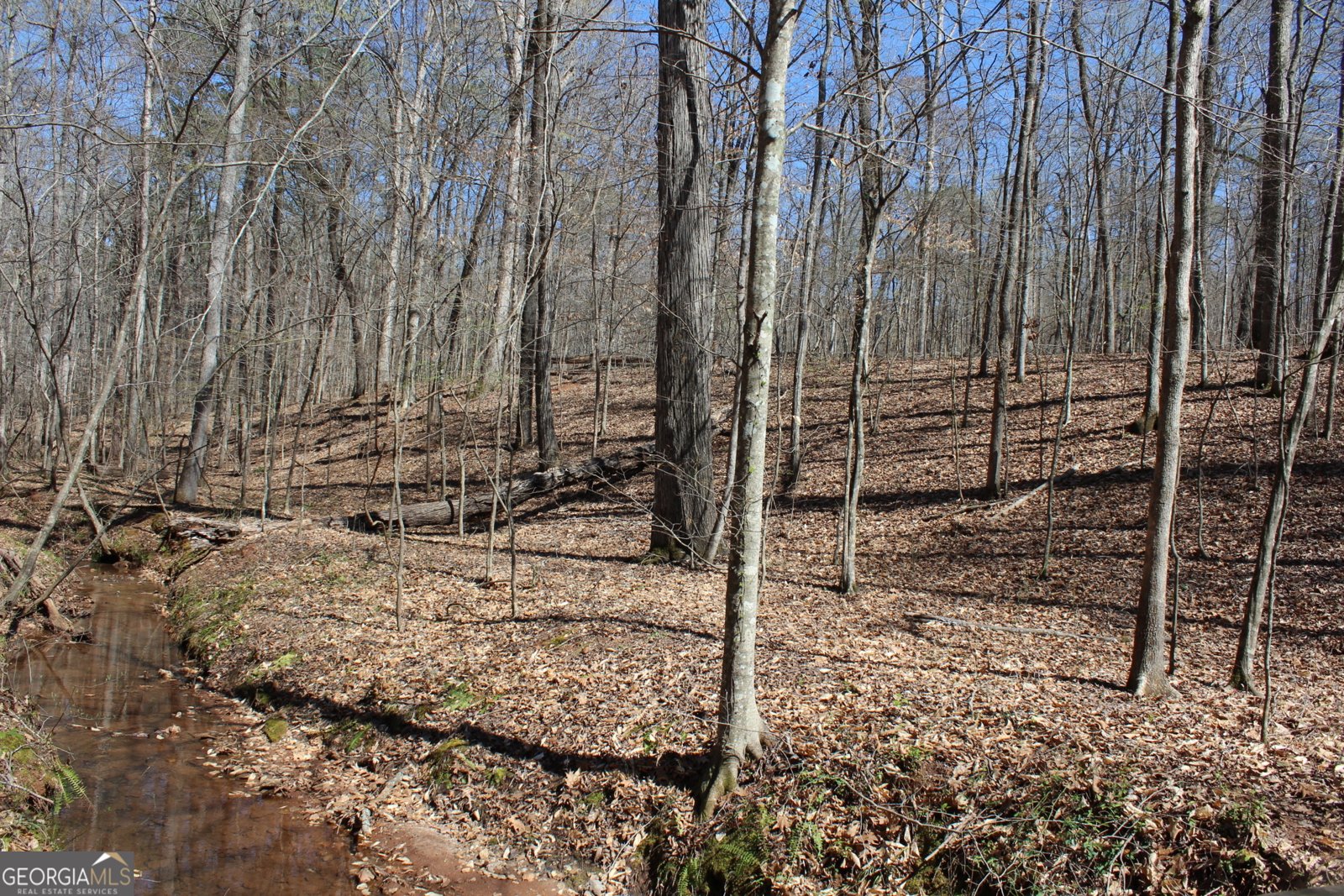 460 Morgan Mill Road Brooks - 24
