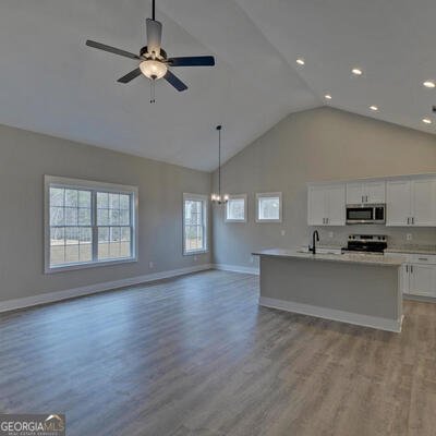 294 Park Place Drive Lavonia - 10