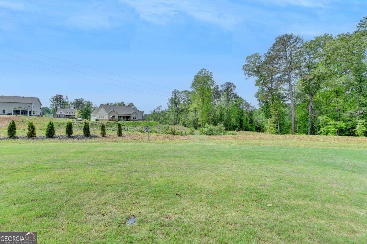 3985 FOXDALE Lane Cumming - 76