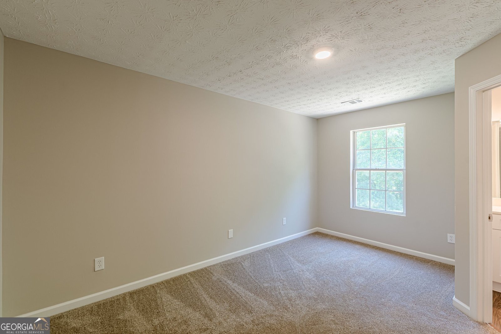 5280 Tussahaw Crossing Mcdonough - 23