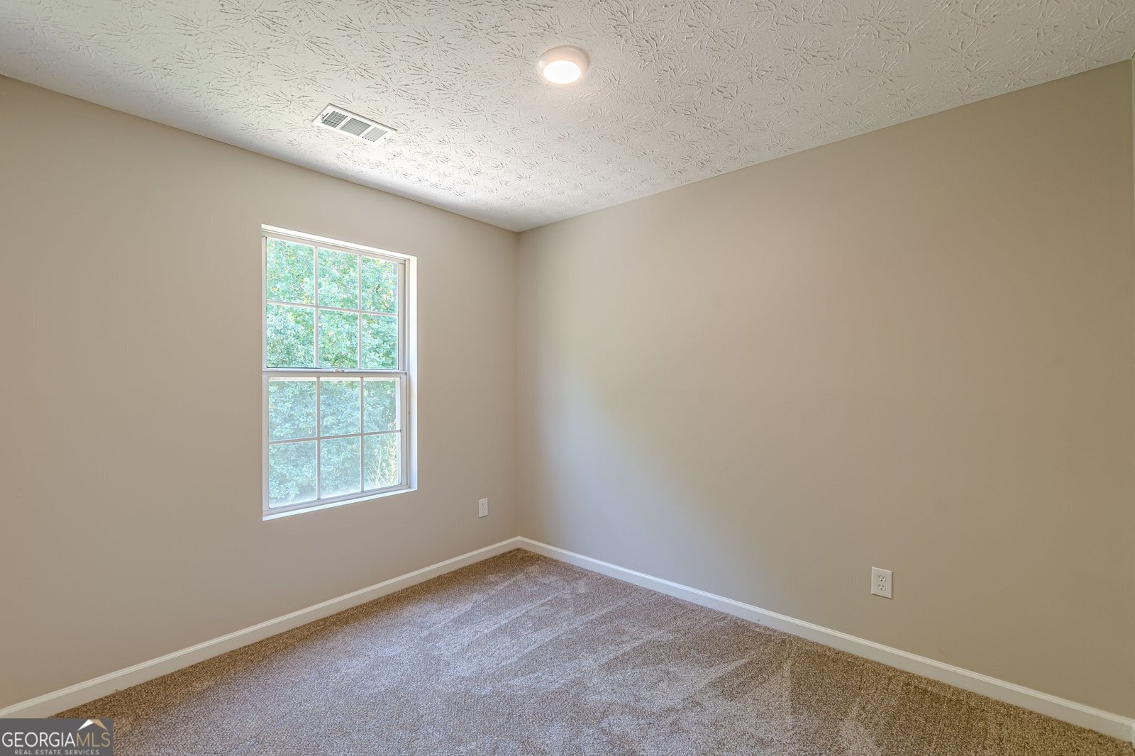 5280 Tussahaw Crossing Mcdonough - 28