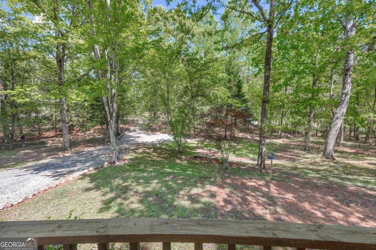 1437 Frank Lovell Road Clarkesville - 12