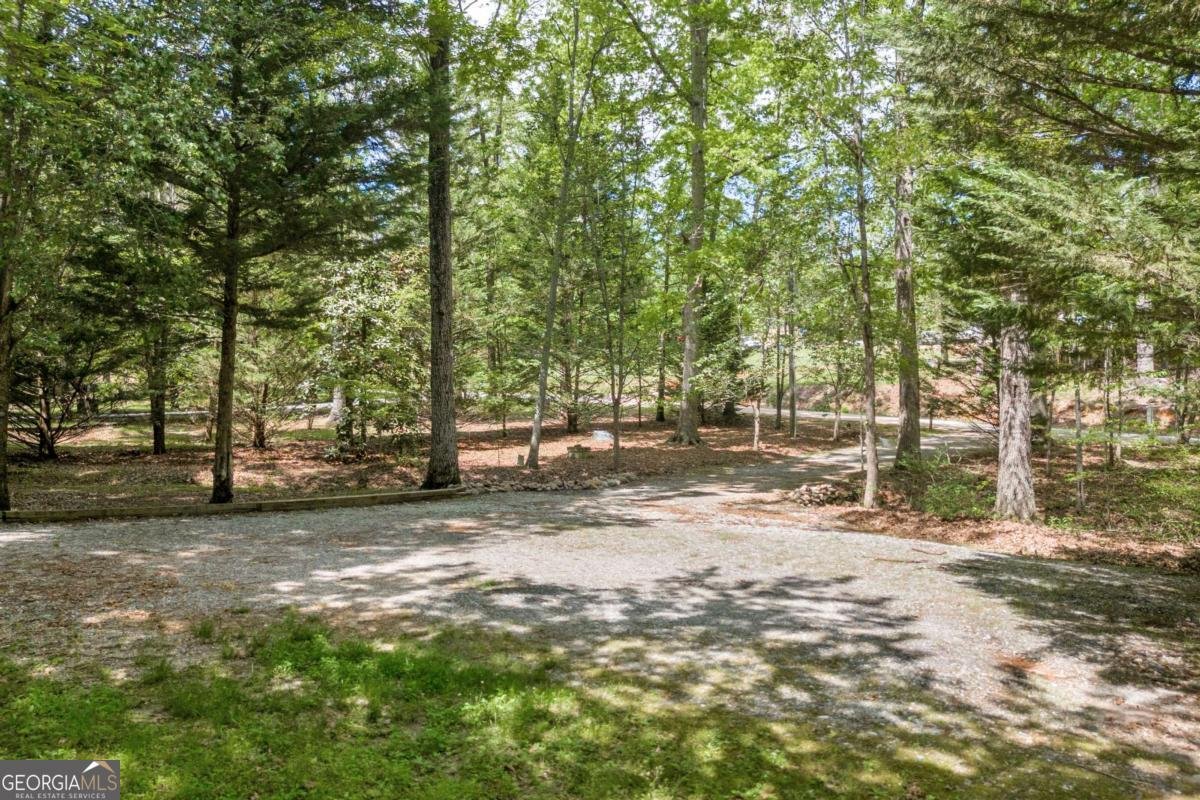 1437 Frank Lovell Road Clarkesville - 5