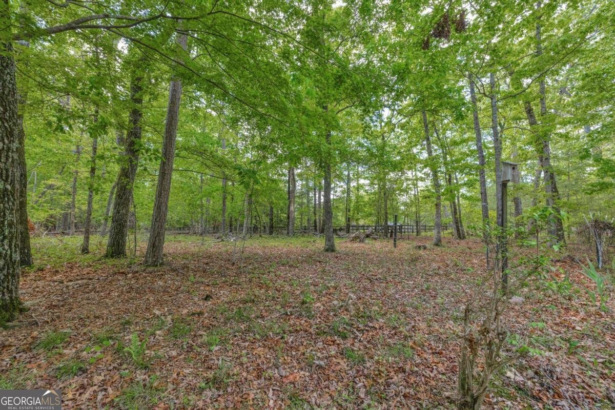 1437 Frank Lovell Road Clarkesville - 59