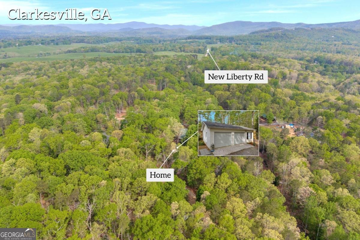 1437 Frank Lovell Road Clarkesville - 64