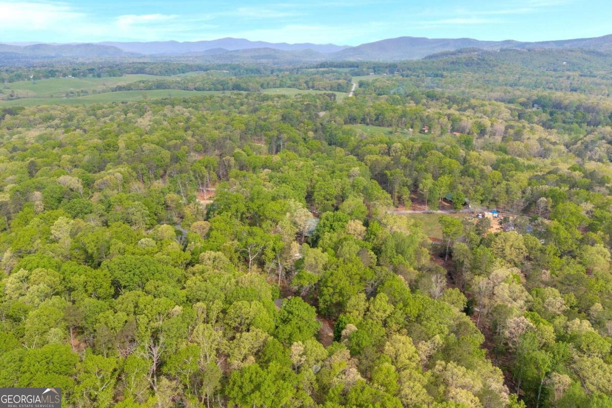 1437 Frank Lovell Road Clarkesville - 65