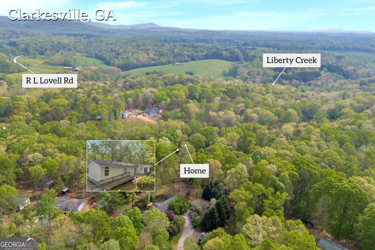 1437 Frank Lovell Road Clarkesville - 66