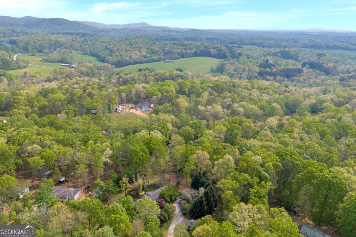 1437 Frank Lovell Road Clarkesville - 67
