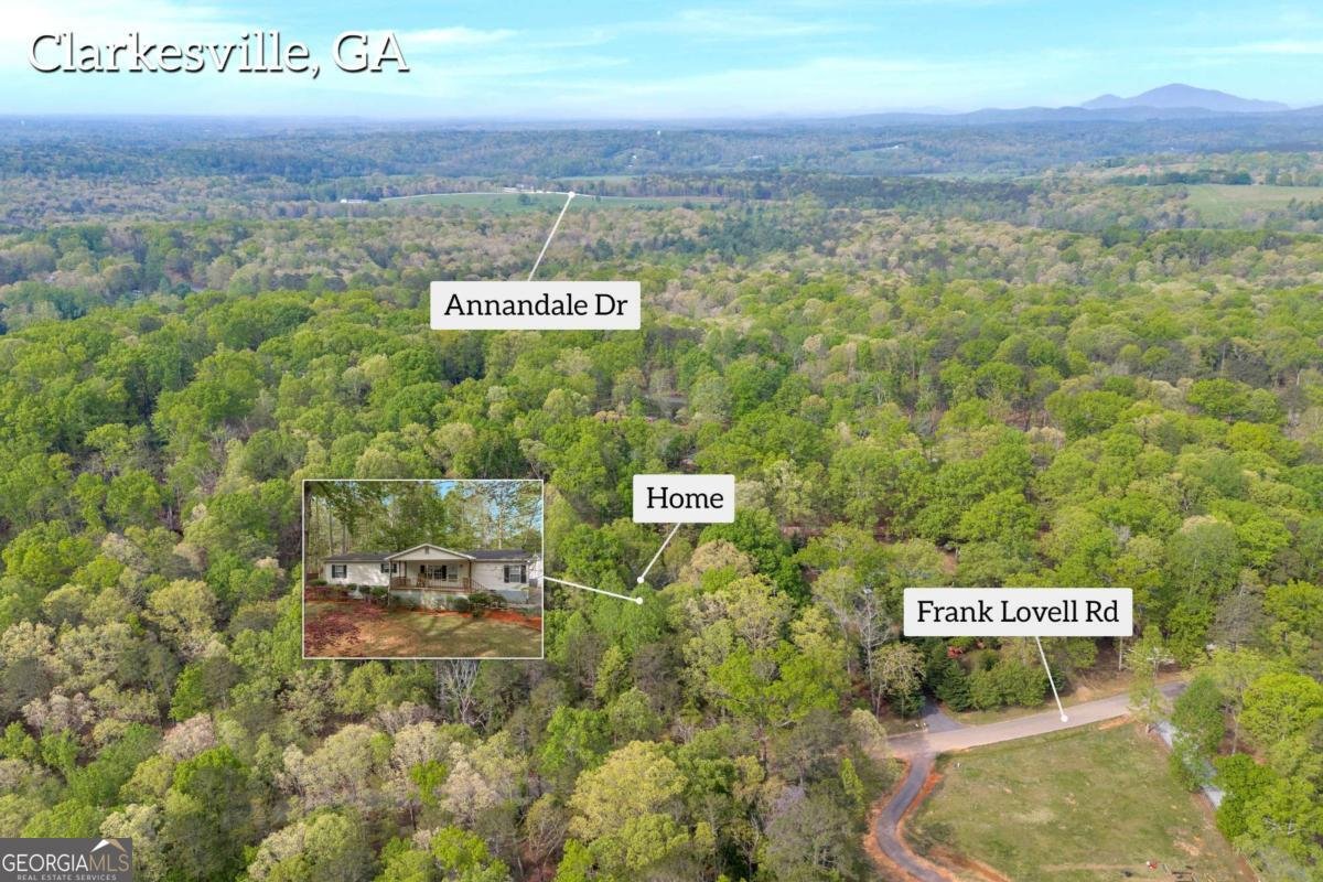 1437 Frank Lovell Road Clarkesville - 68