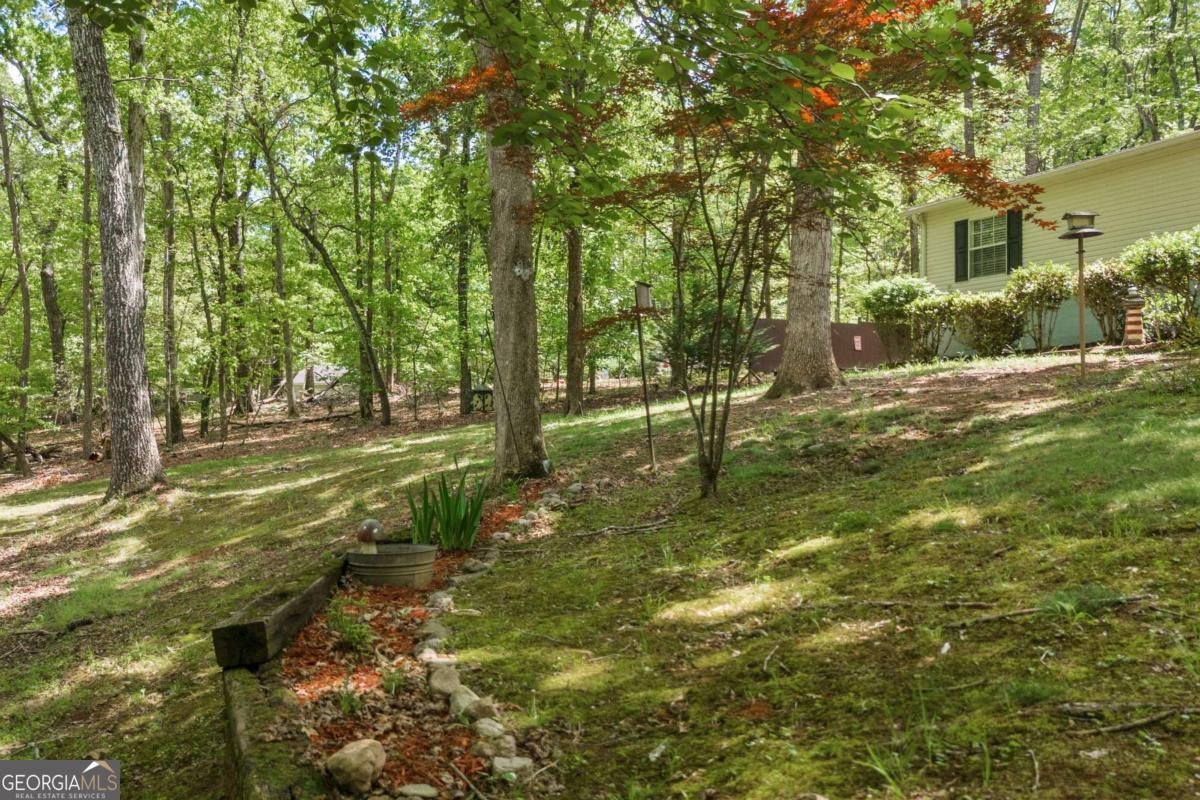 1437 Frank Lovell Road Clarkesville - 8