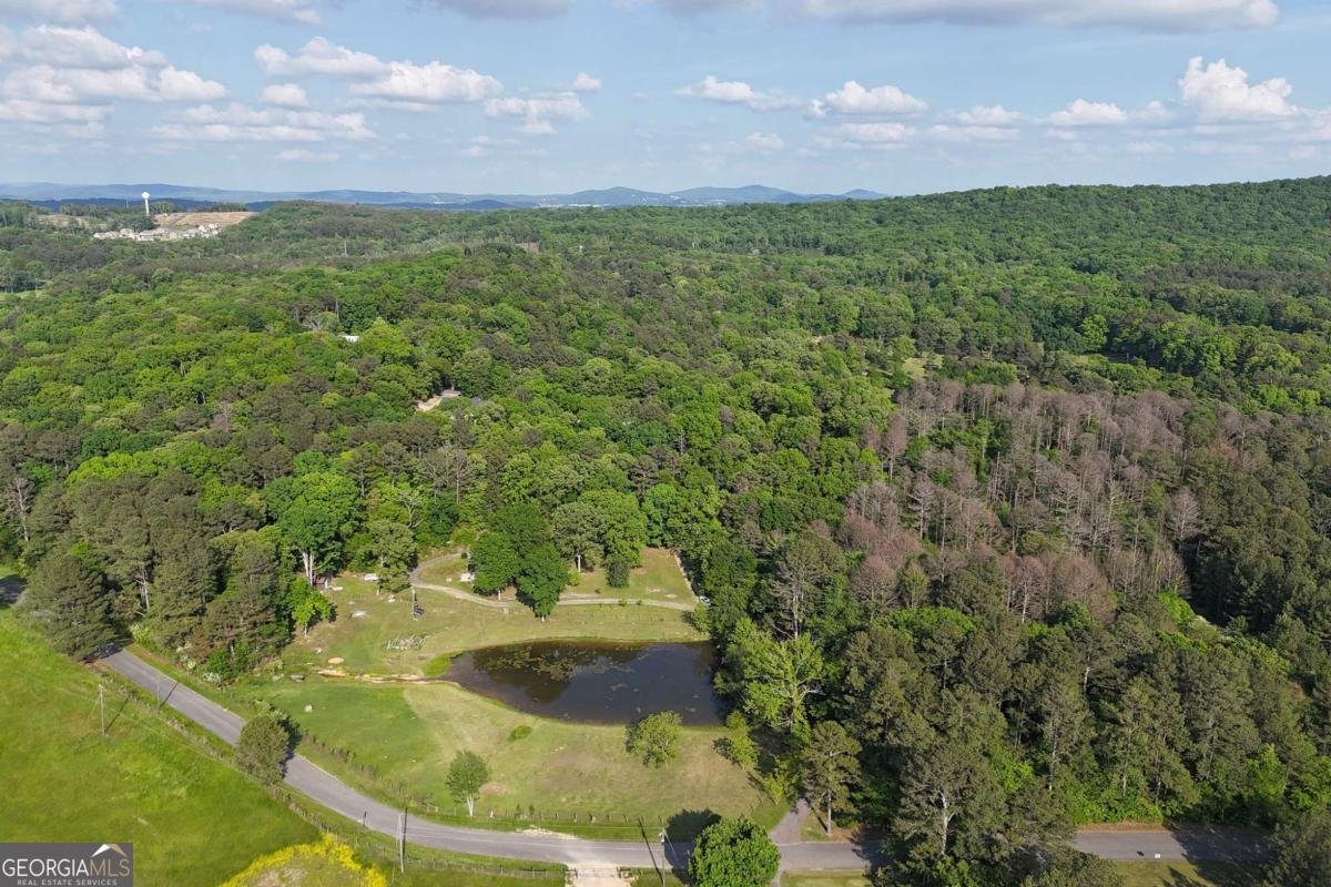 87 Old Martin Road Cartersville - 1