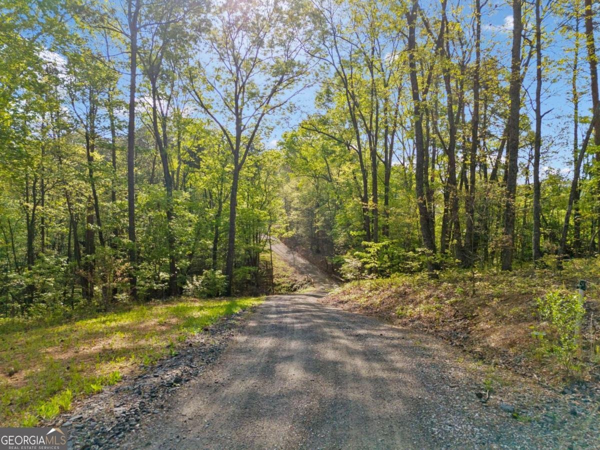 281 Abbott Drive Canton - 5