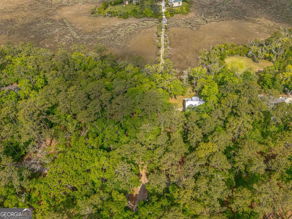 1525 Black Island Road Darien - 38