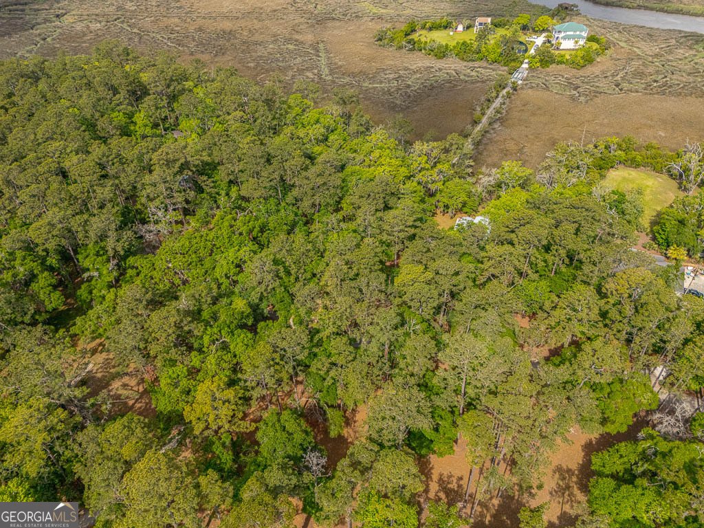 1525 Black Island Road Darien - 41