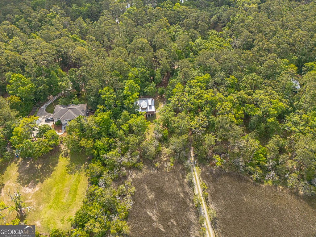 1525 Black Island Road Darien - 42