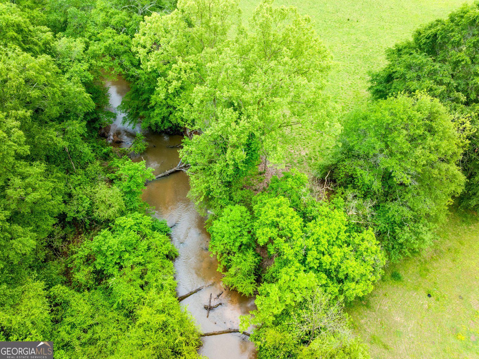 2630 Prospect Road Toccoa - 35