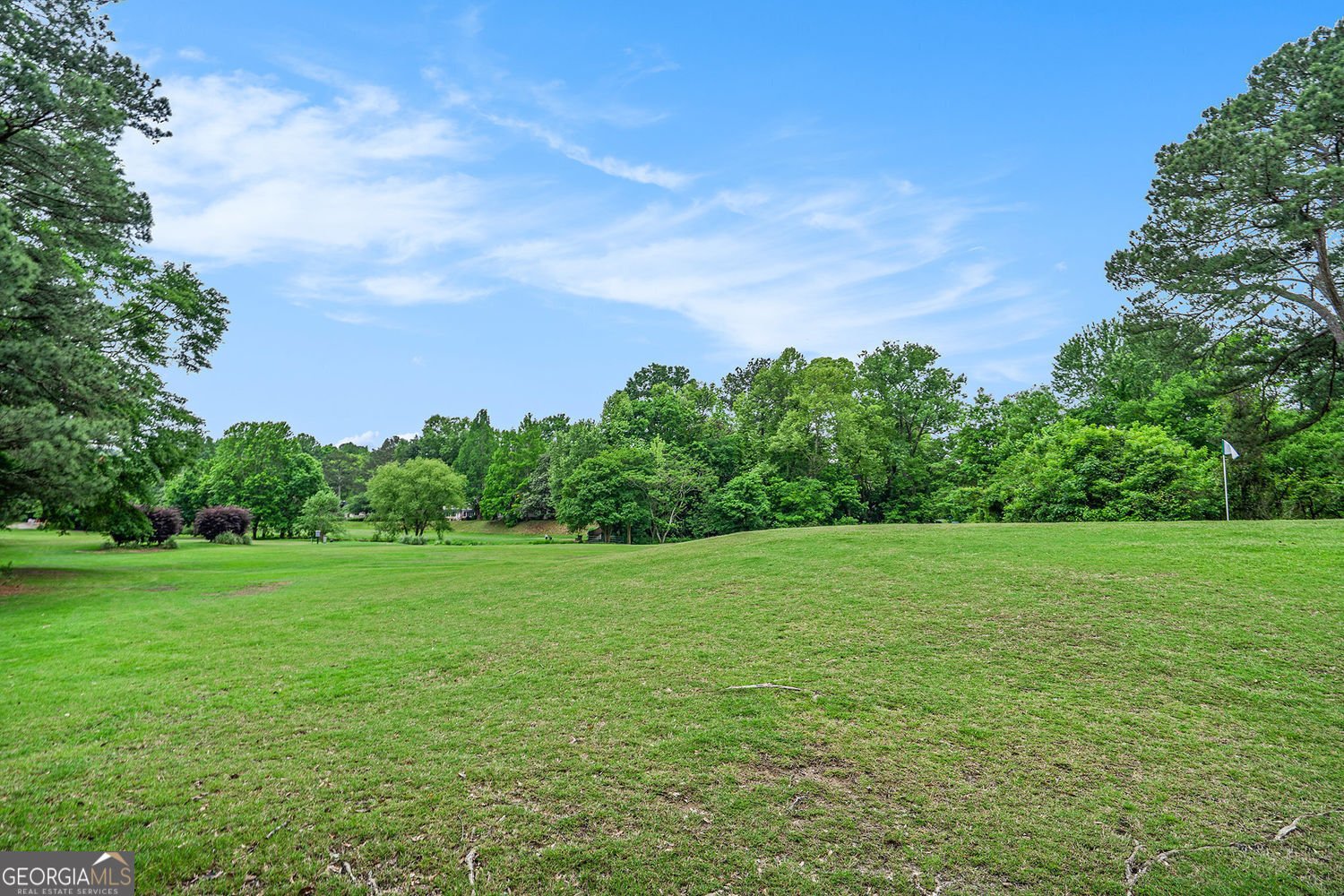 170 Elysian Way Atlanta - 27