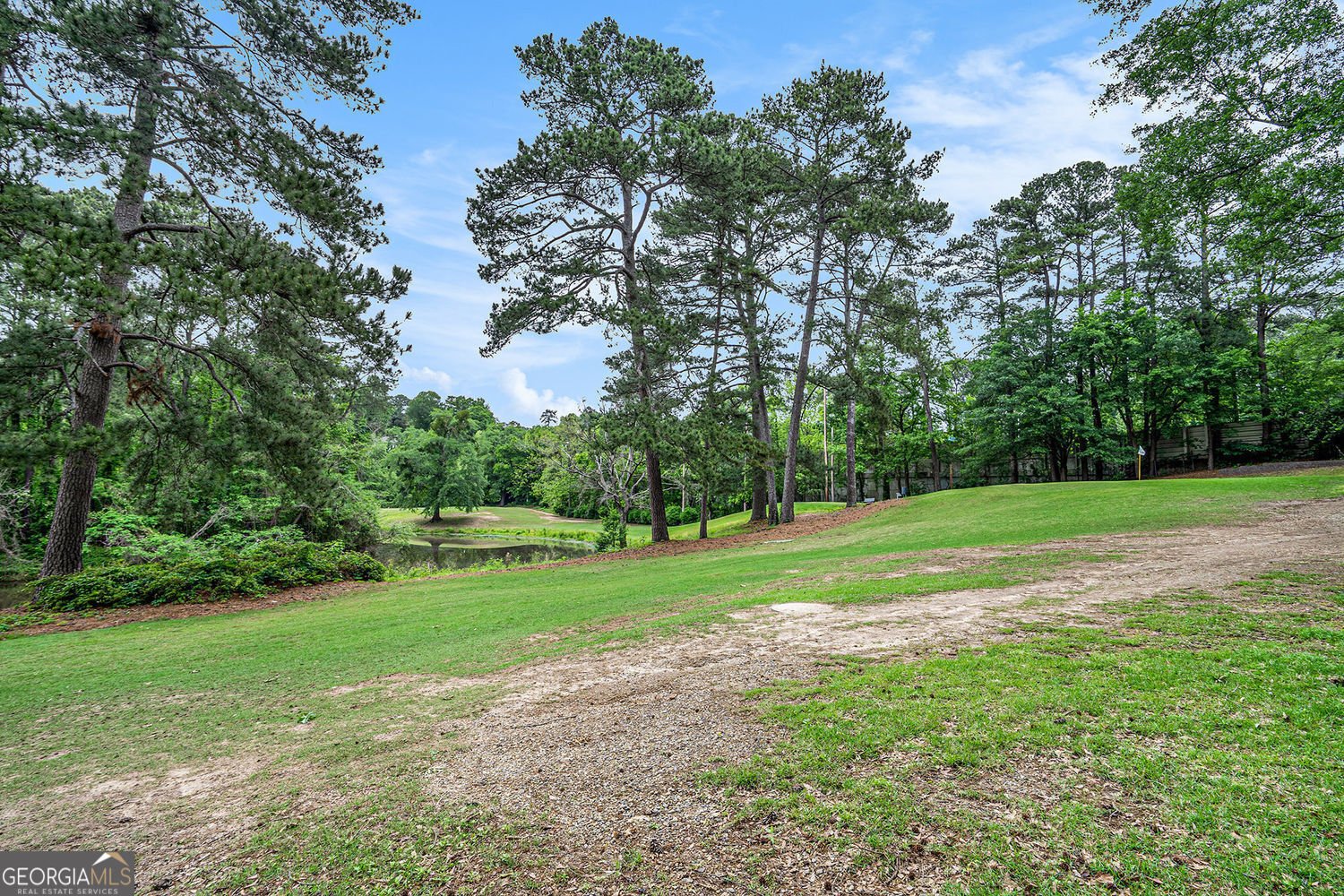 170 Elysian Way Atlanta - 29