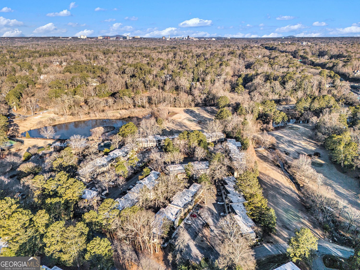 170 Elysian Way Atlanta - 33