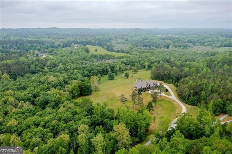1101 Flat Rock Road Douglasville - 79