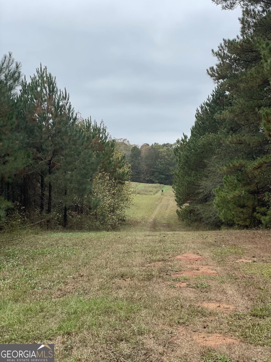 2371 Leguin Mill Road Locust Grove - 38