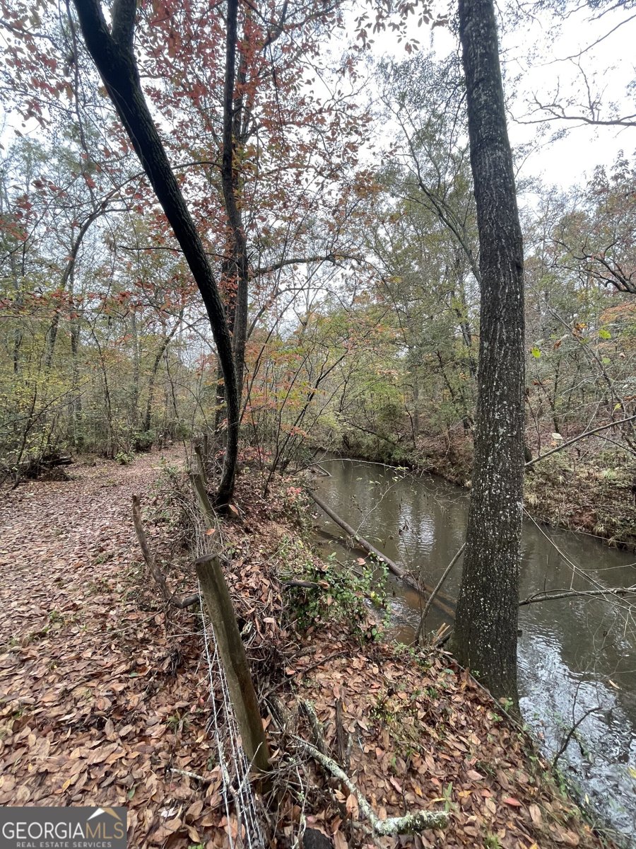 2371 Leguin Mill Road Locust Grove - 39