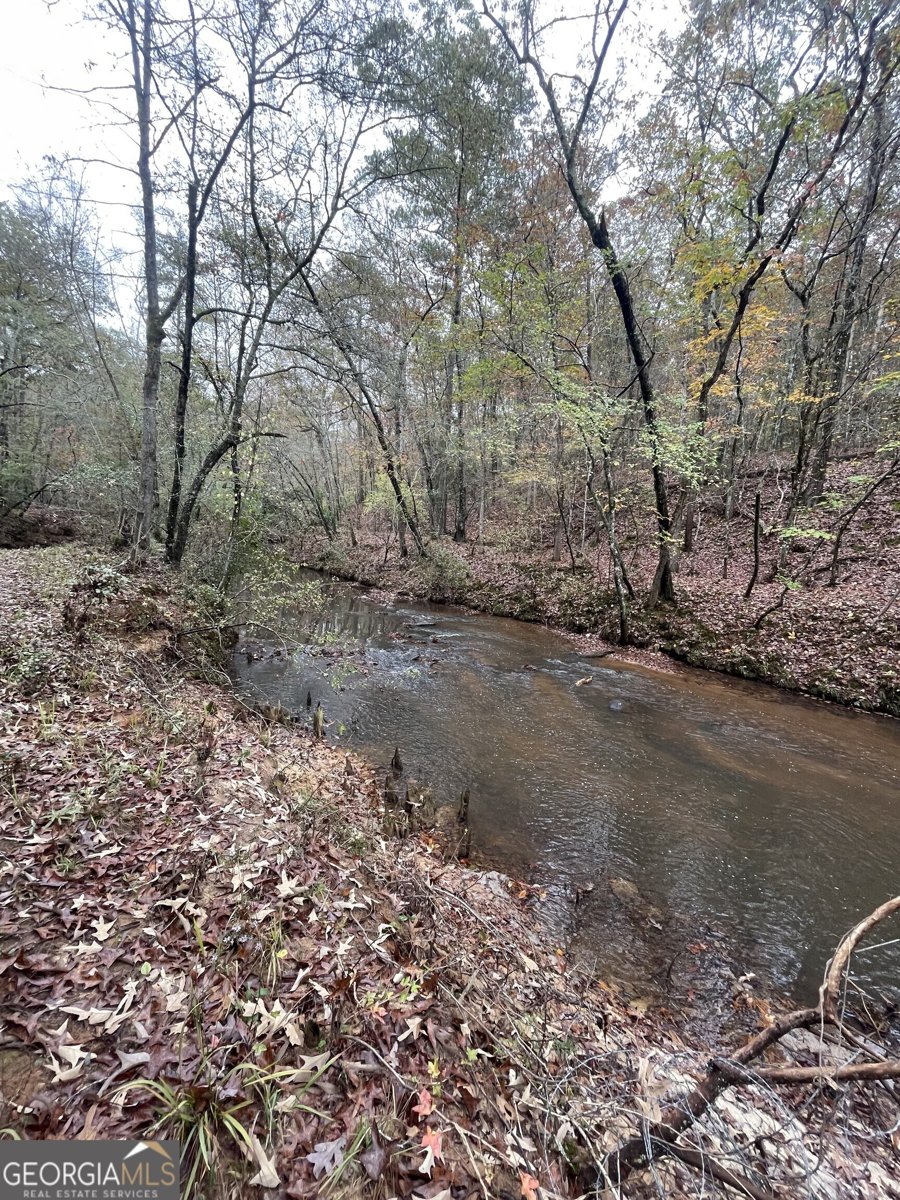 2371 Leguin Mill Road Locust Grove - 40
