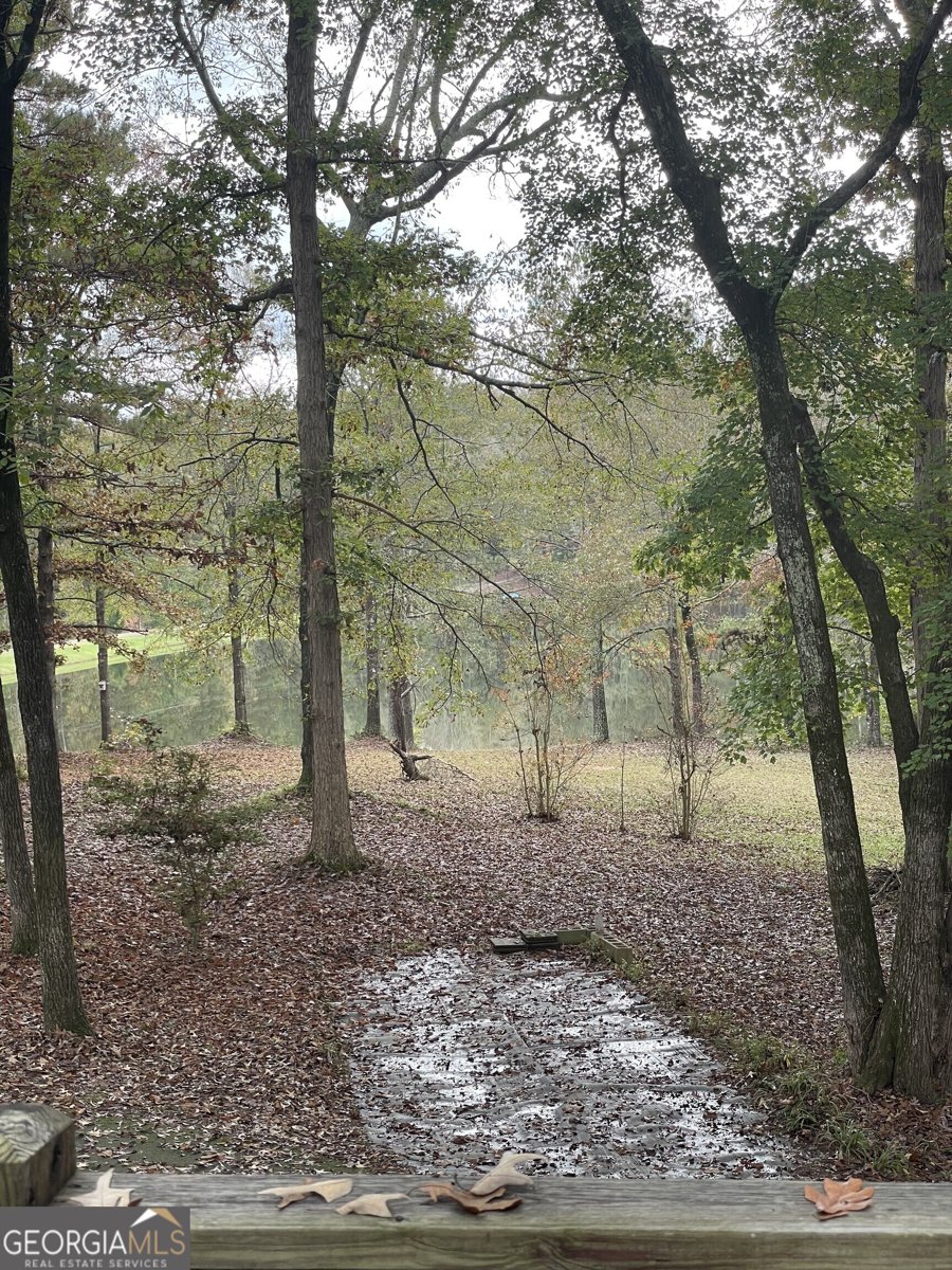 2371 Leguin Mill Road Locust Grove - 41
