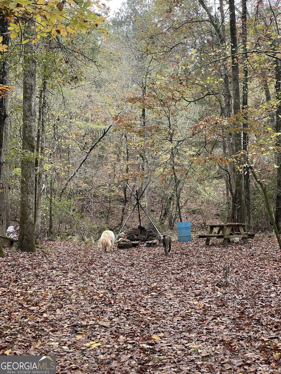 2371 Leguin Mill Road Locust Grove - 42