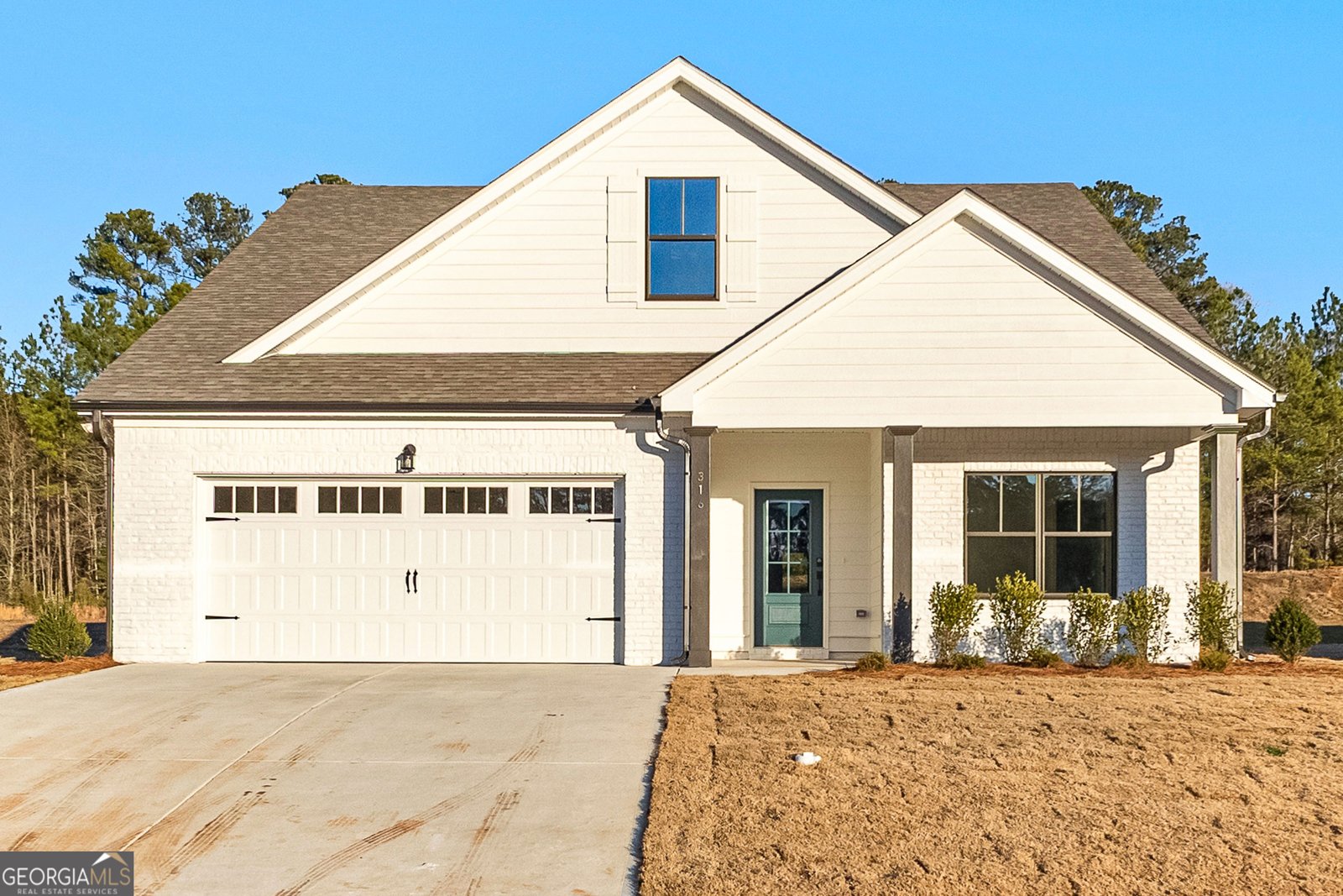 316 Hammerstone Court Senoia - 1