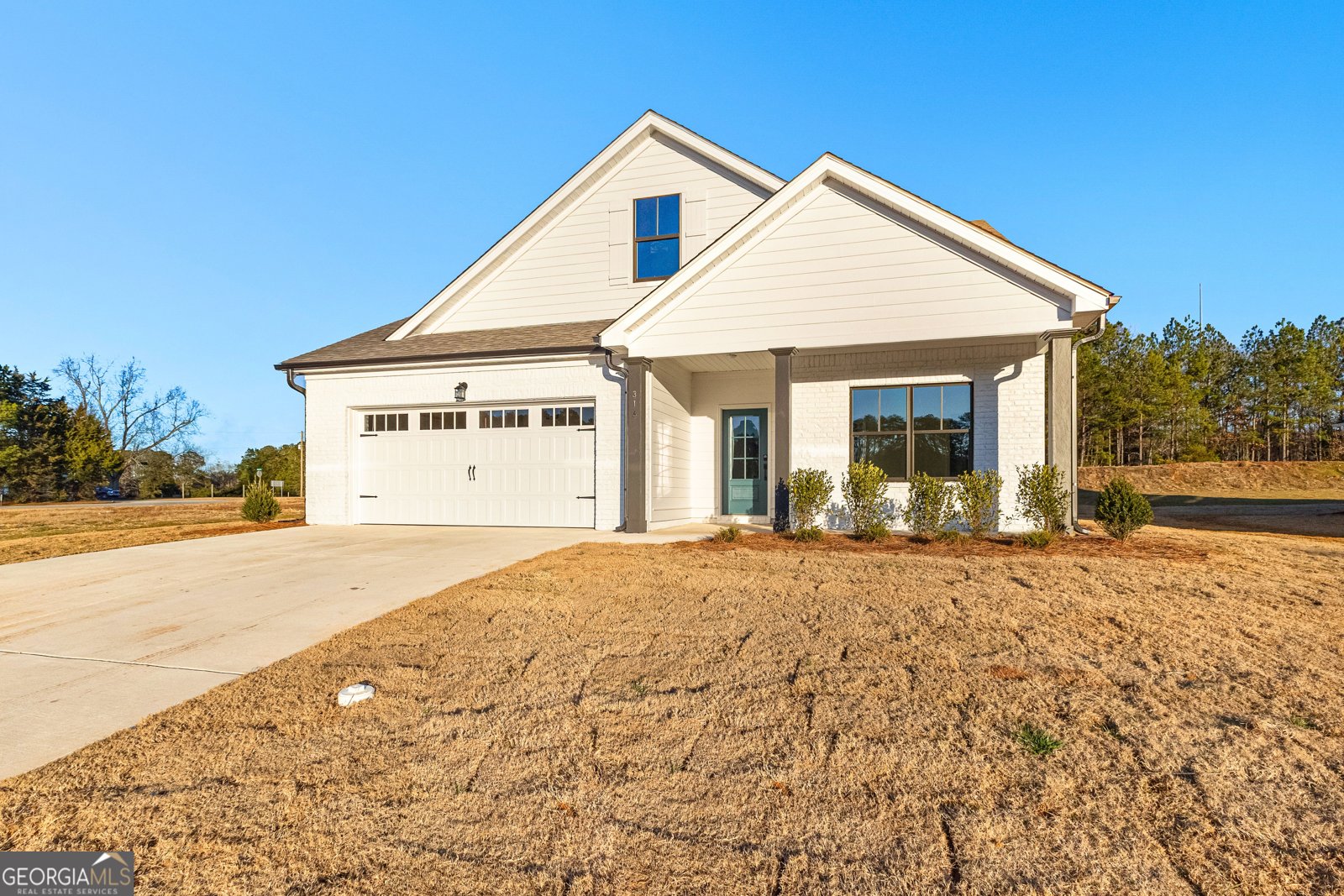 316 Hammerstone Court Senoia - 2