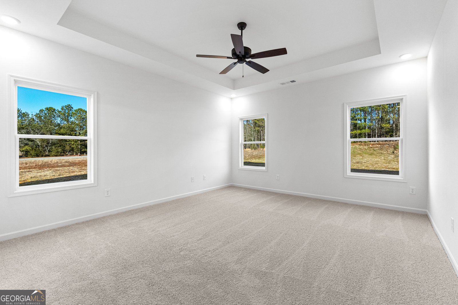 316 Hammerstone Court Senoia - 28