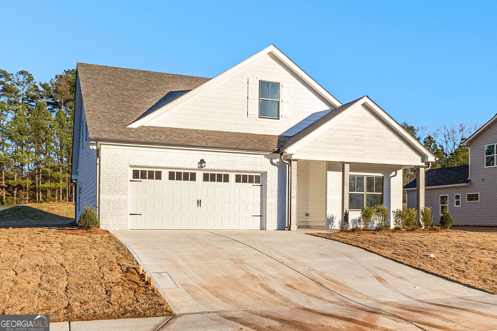 316 Hammerstone Court Senoia - 3