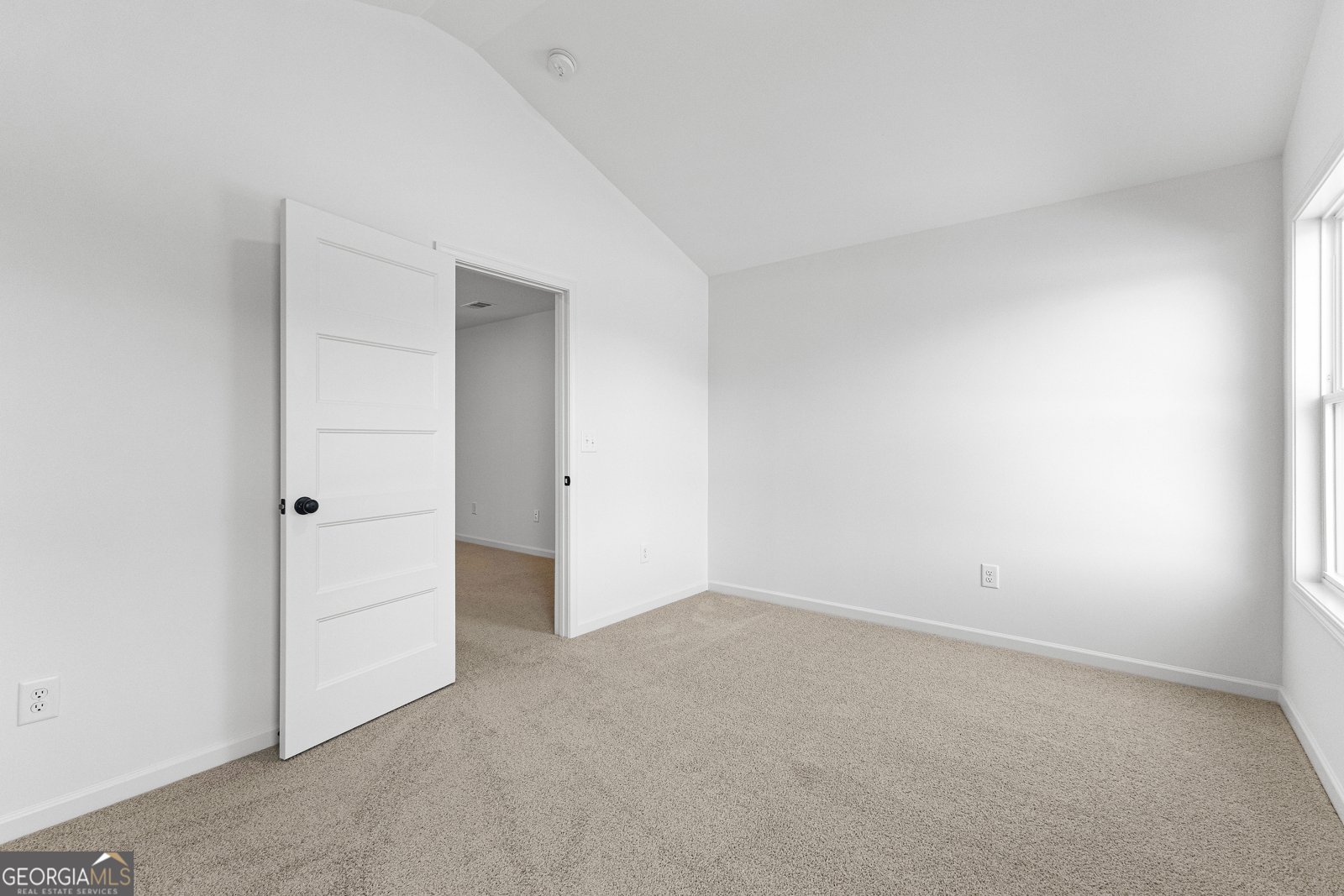 316 Hammerstone Court Senoia - 43