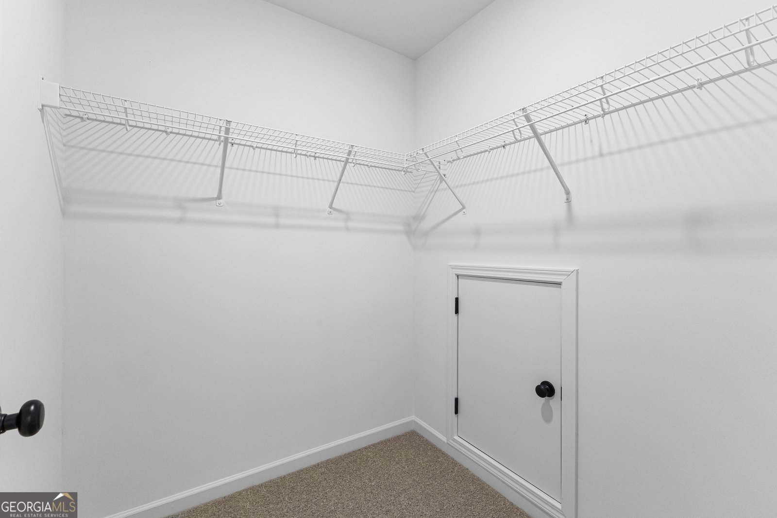 316 Hammerstone Court Senoia - 45