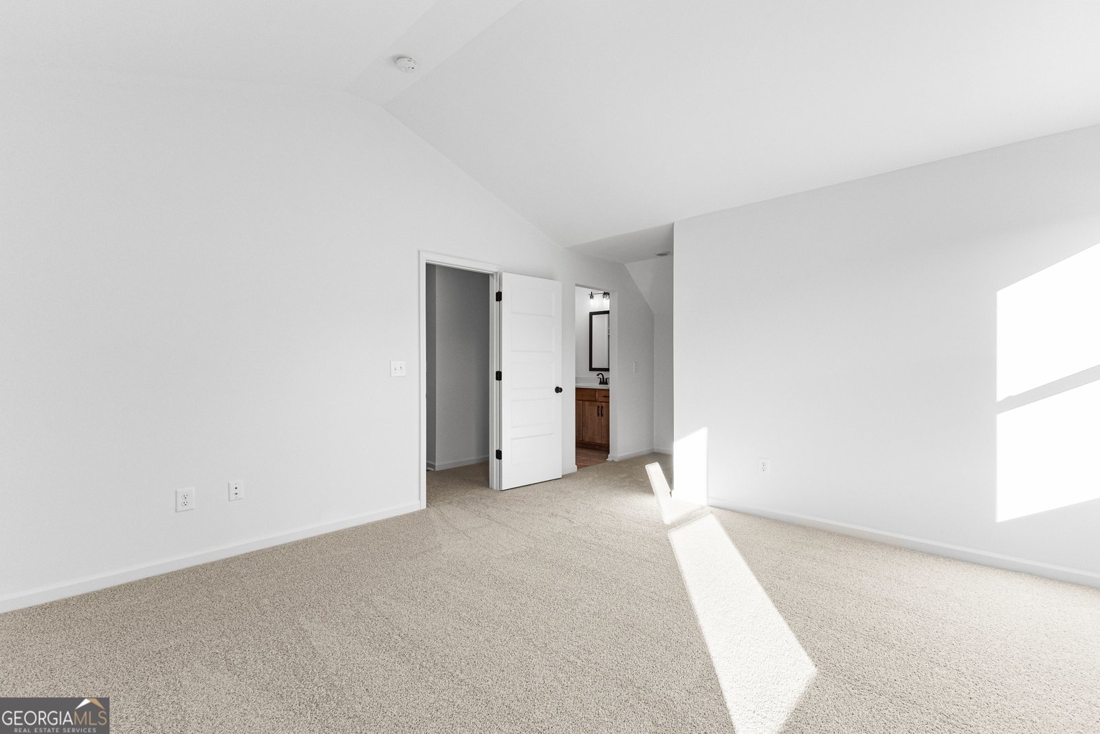 316 Hammerstone Court Senoia - 52