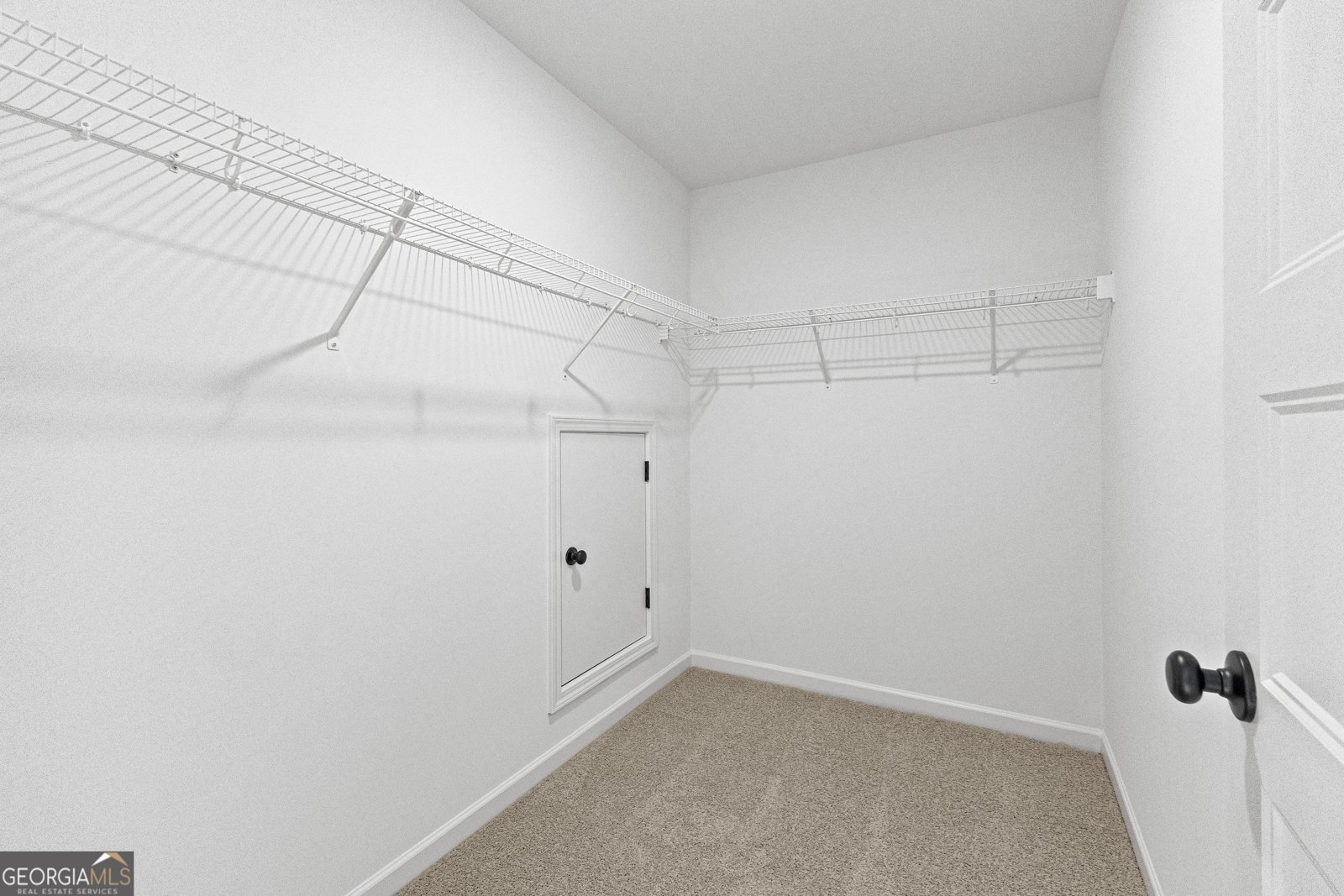 316 Hammerstone Court Senoia - 53