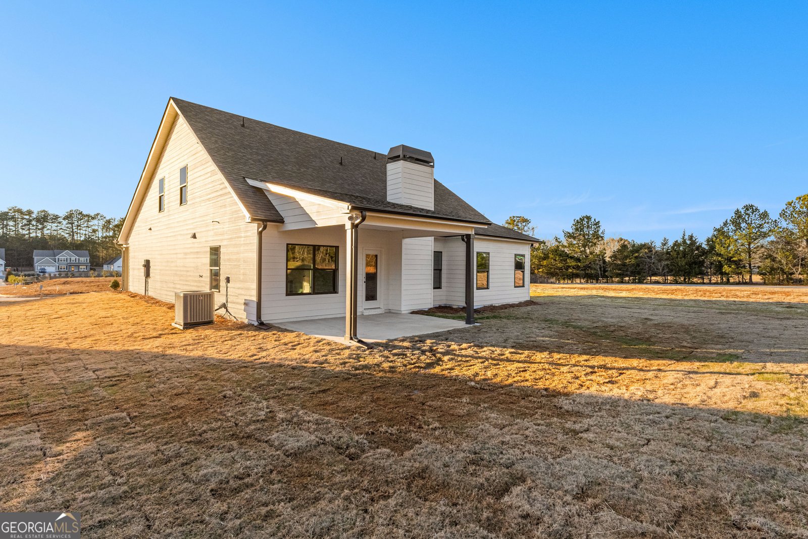 316 Hammerstone Court Senoia - 60